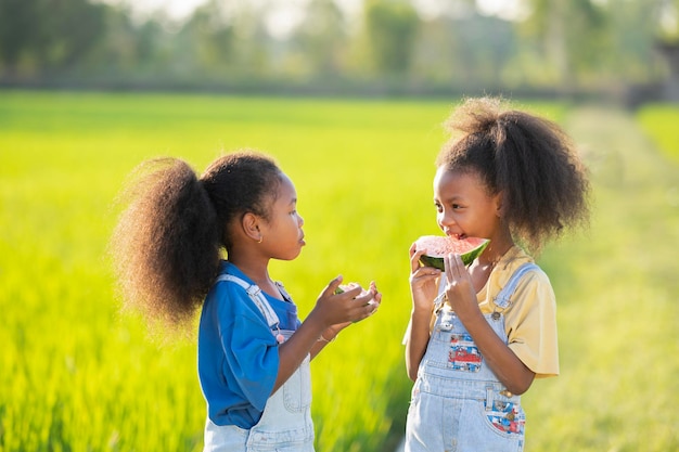 Black skinned cute little girl eating watermelon outdoors green rice field backdrop African child eating watermelon