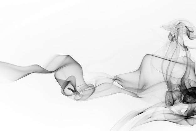 Black smoke abstract on white background Toxic smoke is moving