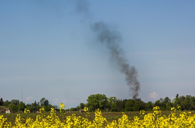 Black smoke over the field on a background of the sky ecology