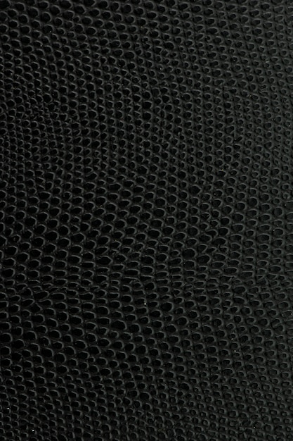 Black snake Leather background texture