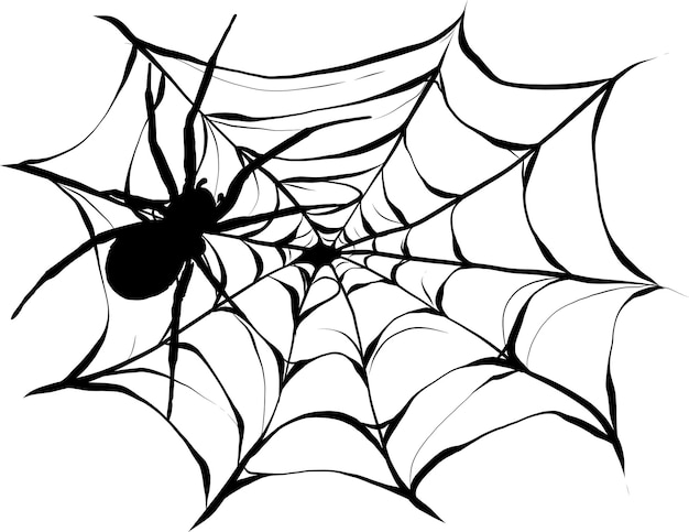 Black spider and torn web Scary spiderweb of halloween symbol