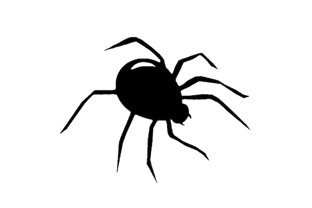 Black spider on a white background, ilustration