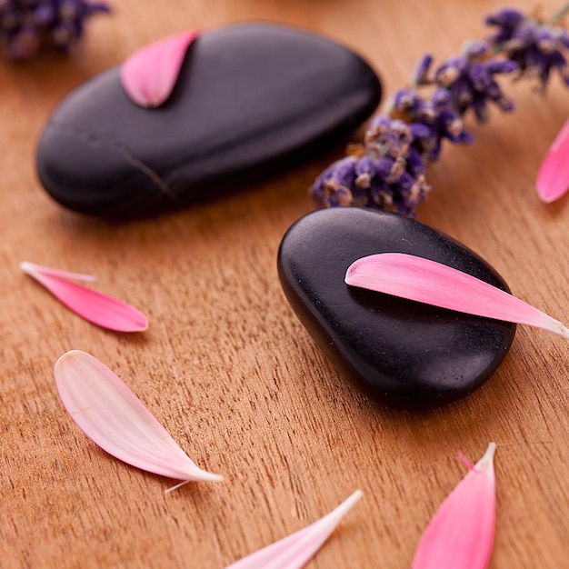 black stones with leaves and lavendel