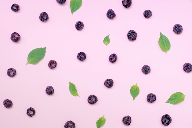 Black summer berry on a pink tinted background.