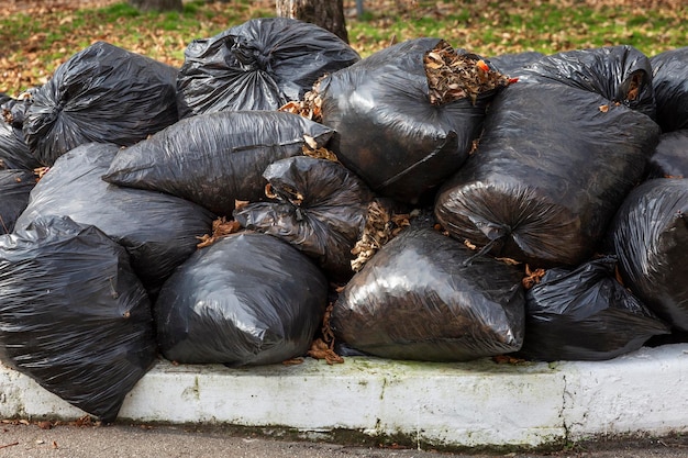 Black trash bags with fallen dry autumn leaves in the park. Seasonal cleaning. Close-up.