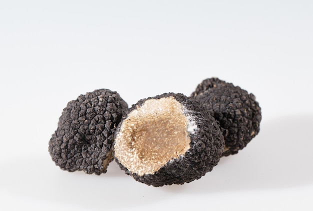 Black truffles isolated on a white background.