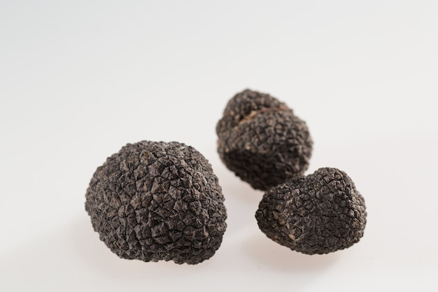 Black truffles isolated on a white background.