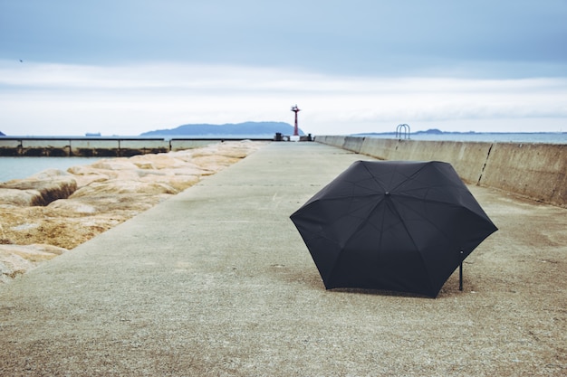 Black umbrella on the foot path way