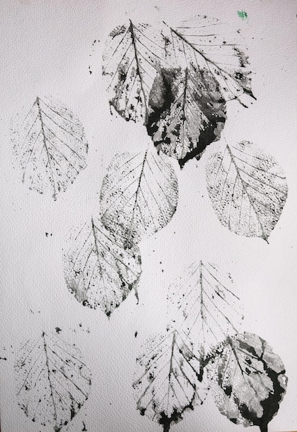 black watercolor leaves on a white paper