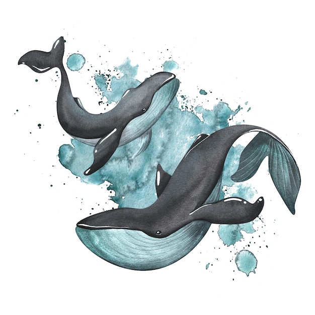 Black whales with turquoise color on the background of splashes of paint Watercolor illustration Composition on a white background from the collection of WHALES For the design and decoration