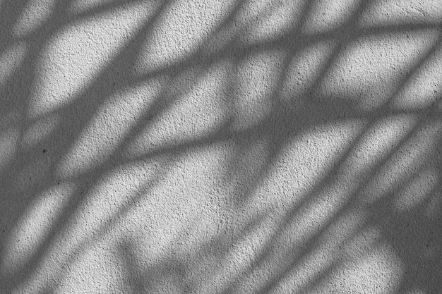 Black and White abstract background texture of shadows leaf on a concrete wall.