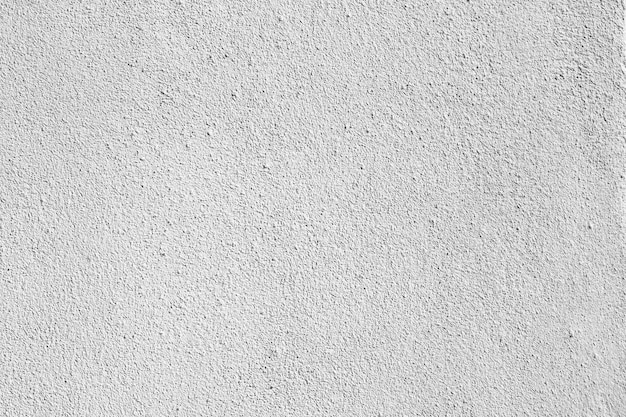 Black and White abstract background texture of shadows leaf on a concrete wall.