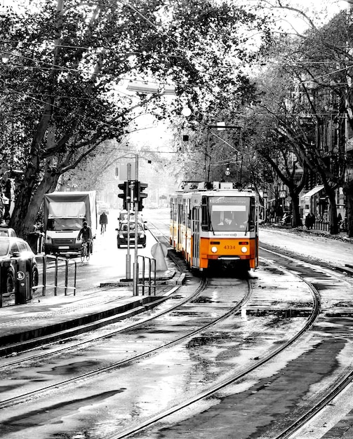 Black and white city of Budapest, Hungary and yellow tram