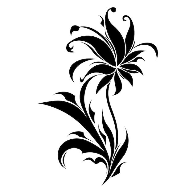 Black and White Floral Design