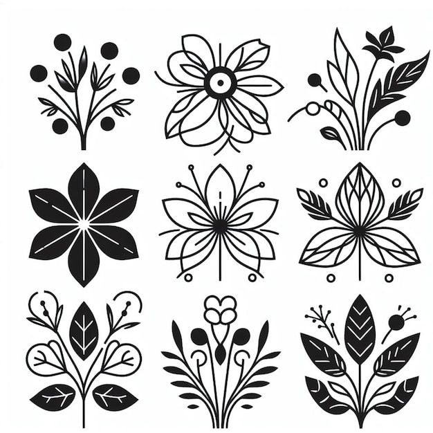 black and white floral and ornamental designs for decorative purposes in various artistic projects