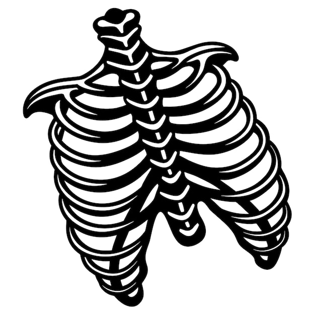 Photo black and white of human ribs and skeleton for anatomy studies and halloween themed projects