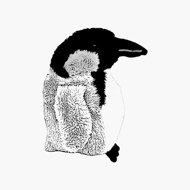 Black and white illustration sketch of a penguin side view on a white background