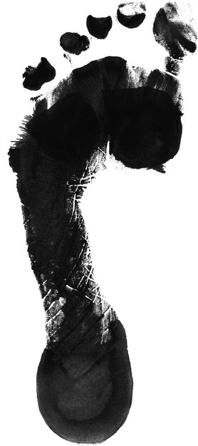 A black and white image of a bird with the word " on it "