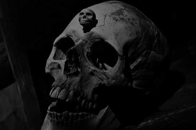 Photo a black and white image of a skull with a black background