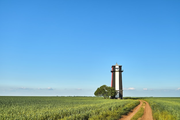 Black and white lighthouse in a wheat green field