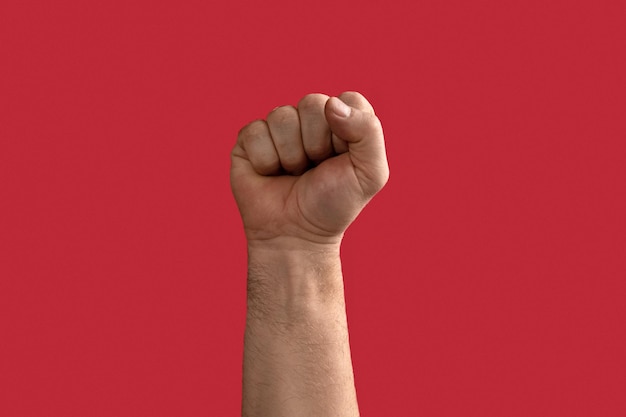 Photo black and white man hand with raised fist isolated on red background male clenched closed fist revolution teamwork power competition concept hand raised up human equal rights freedom election