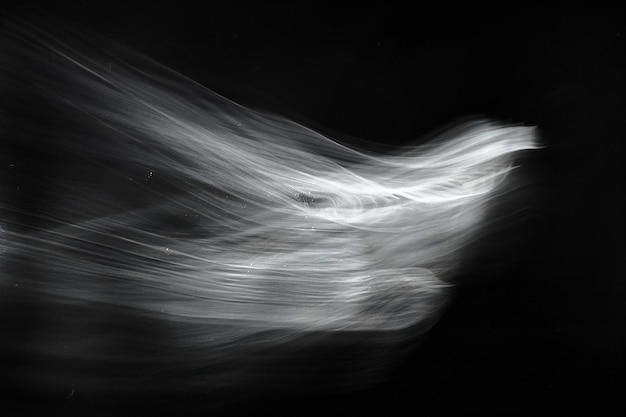 Black and white photograph of a blurry object on a black background