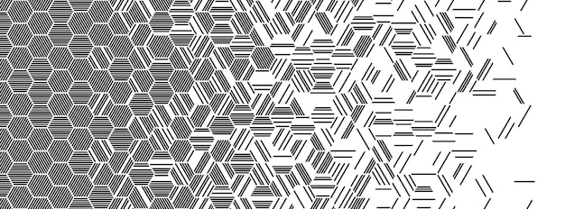 Black and white seamless abstract geometric pattern with hexagonal lines