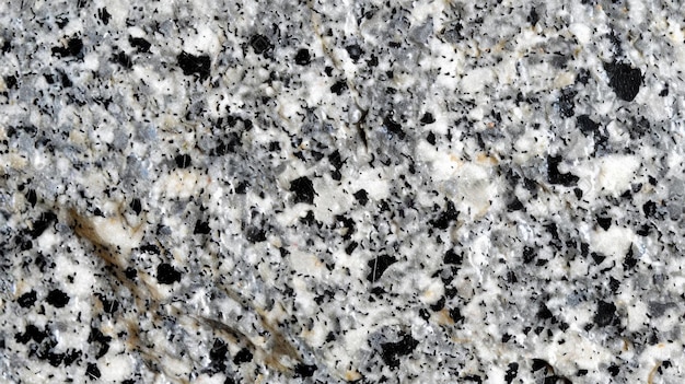 Black and White Speckled Stone Texture