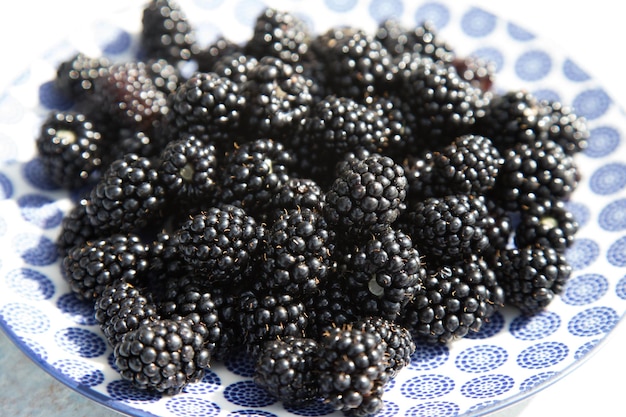 Blackberries on a light plate Fruit backgroundHorizontal orientation Close up