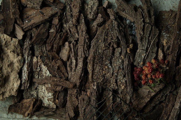 Blackberry berries on a bark background of a tree