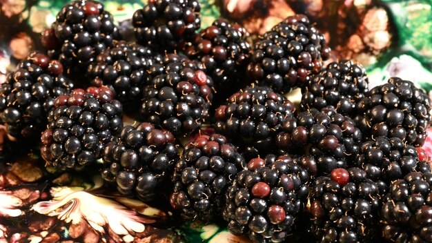 Photo blackberry fruit