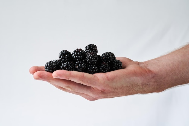 blackberry in a man's hand on a light background