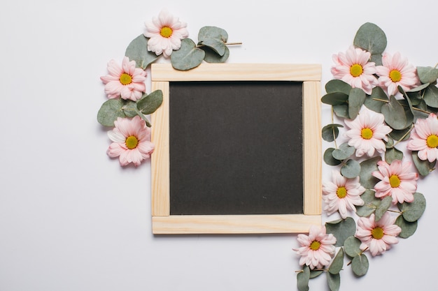 Blackboard around chamomile and eucalyptus.