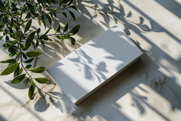 Blank card on marble table with plant and shadow top view angle