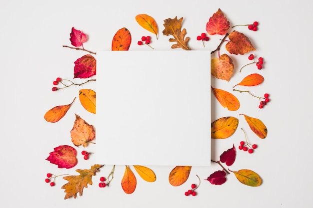 Blank copy space with colorful autumn leaves frame