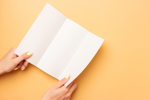 Blank euro booklet holds in female hand