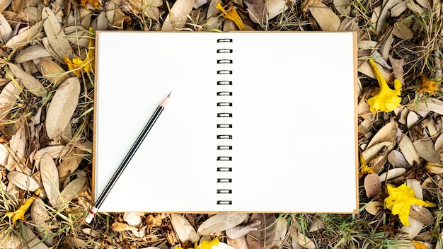 A blank notebook and a pencil placed on a yellow, red, orange leaf And autumn dried flowers in the autumn nature background top view