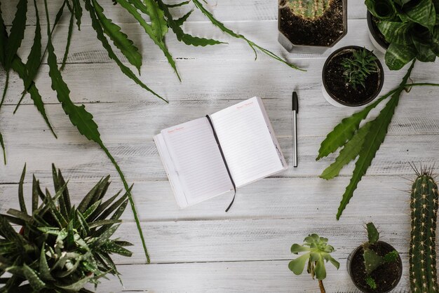 A blank opened paper notebook and pen with many plants in pot at the white wooden background. Flatlay copy space