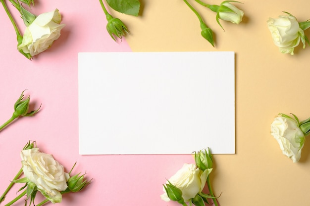 Blank paper card and frame border of roses flower on pastel background.