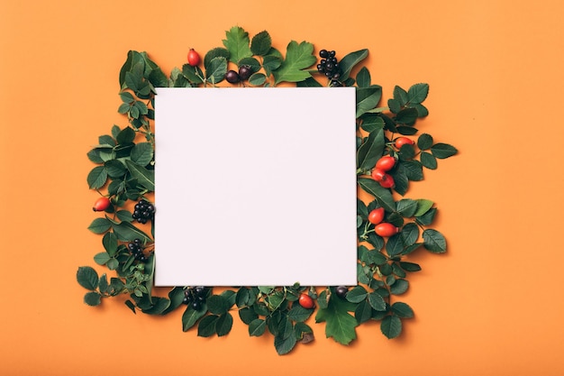 Blank paper note or card with leaves, top view