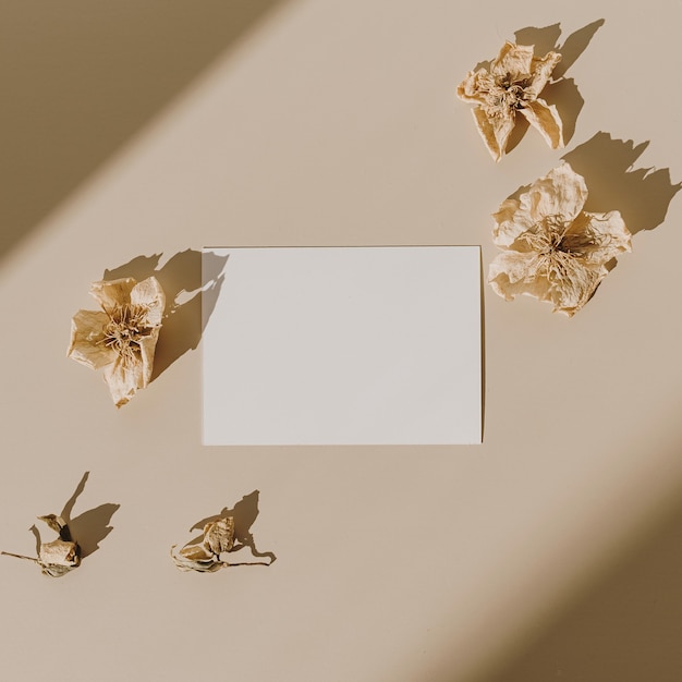 Blank paper sheet card with dry flower buds with sunlight shadow on beige