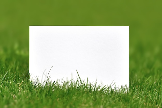 Blank paper shot outdoor over green grass