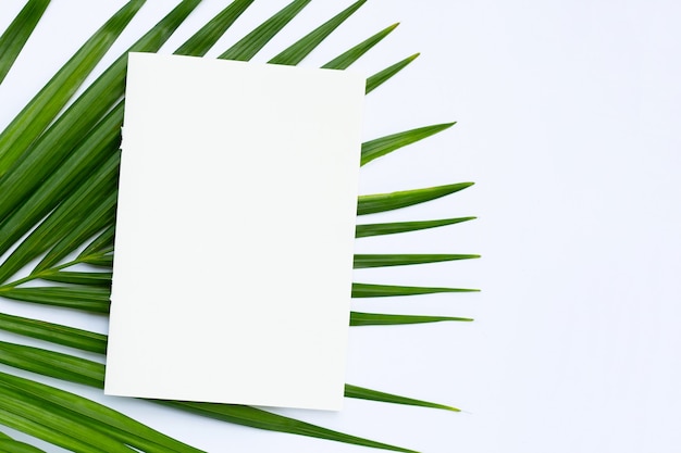 Blank paper with tropical palm leaves on white background.