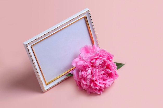 Blank photo frame and delicate pink peony on a pink background