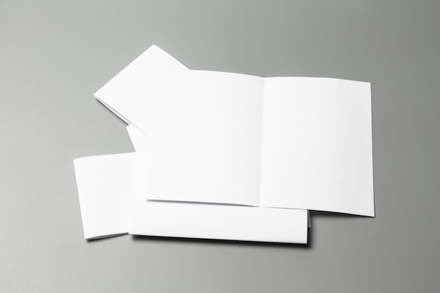 Blank portrait A4. brochure magazine isolated on gray