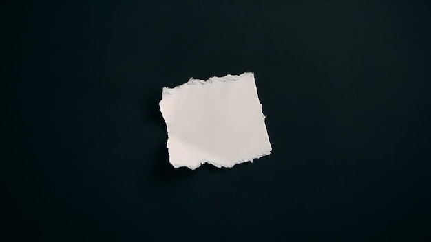 Photo blank ragged paper texture isolated on black