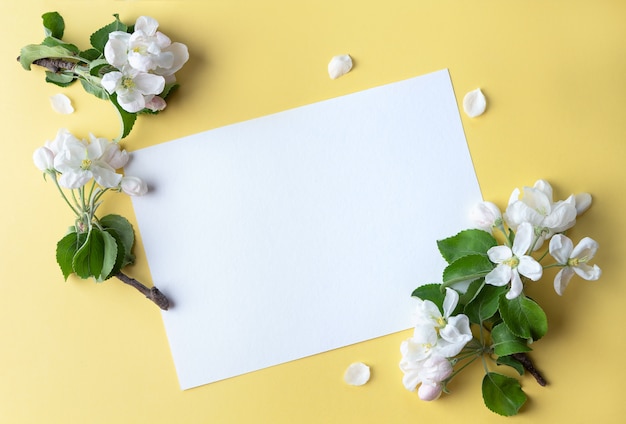 Blank sheet, card with sprigs of apple tree on a pastel yellow background