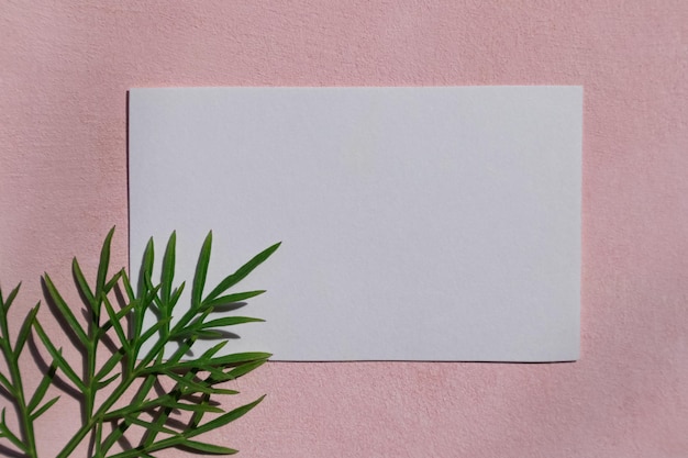 A blank sheet for notes and a twig with green leaves on a pink background View from above