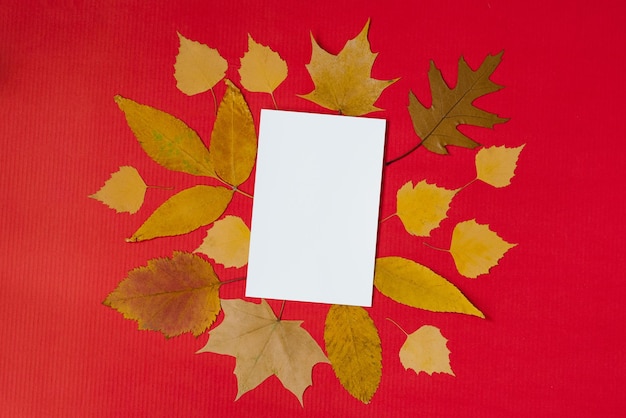 A blank sheet of paper for text surrounded by autumn fallen leaves on a red background