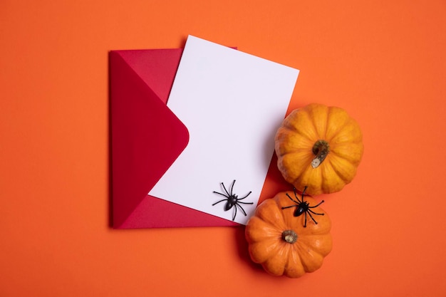 Blank white halloween card with pumpkins and spiders